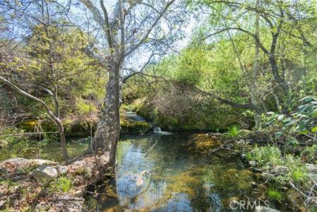 AV Ranch Road, King City, California 93928, Estados Unidos