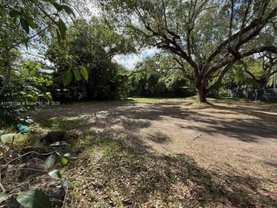 3850 Plaza St, Miami, Florida 33133, USA
