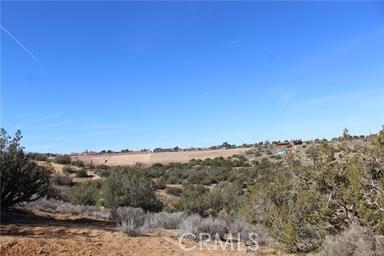 Paisley Street, Hesperia, Калифорния 92345, Соединенные Штаты