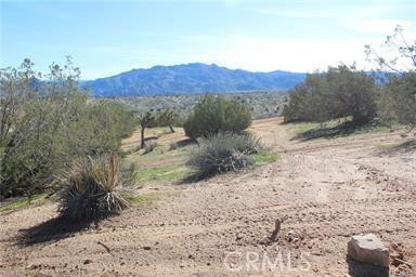 Paisley Street, Hesperia, Калифорния 92345, Соединенные Штаты