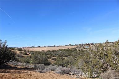 Paisley Street, Hesperia, Калифорния 92345, Соединенные Штаты