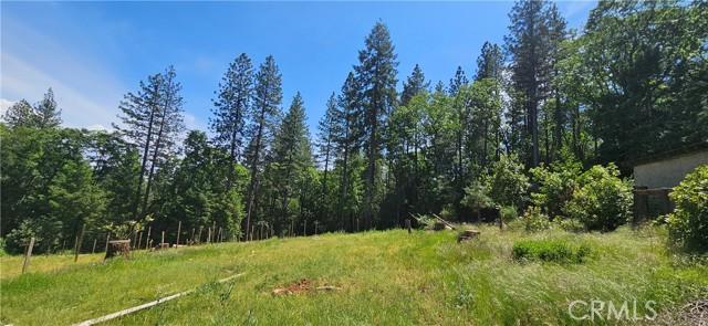 Little Bend Circle, Yankee Hill, كاليفورنيا 95965, الولايات المتحدة