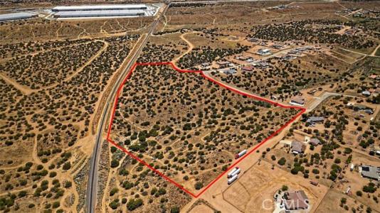 Verbena, Oak Hills, California 92344