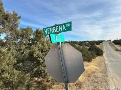 Verbena, Oak Hills, California 92344