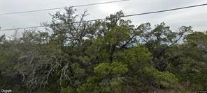 6608 Panorama Ridge, Lago Vista, Texas 78645, États-Unis