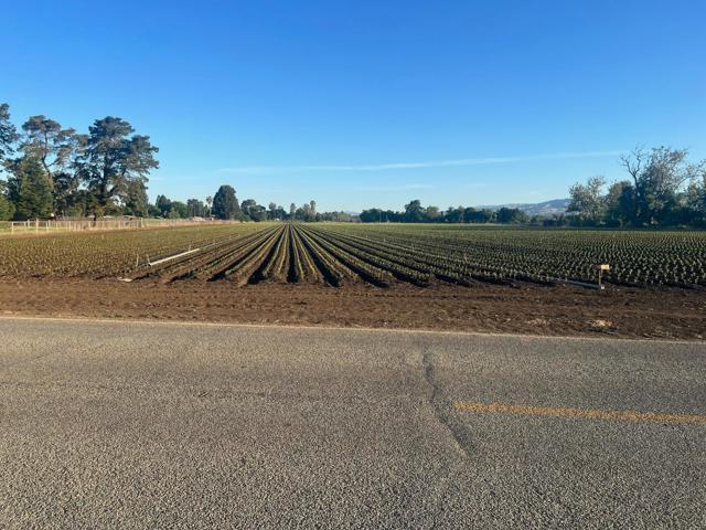 Buena vista, Gilroy, Kalifornia 95020, USA