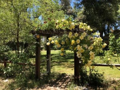 Chihuahua Valley Road, Warner Springs, Califórnia 92086, Estados Unidos
