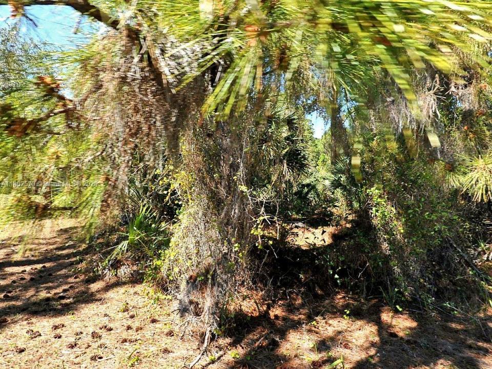 4601 FERGUS ST, Other City - In The State Of Florida, Florida 34288