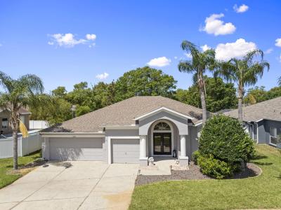 4205 Mast Court, Land O Lakes, Florida 34639, Stati Uniti