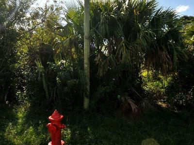 884 SW Mccoy Avenue, Port Saint Lucie, Florida 34953, Stati Uniti
