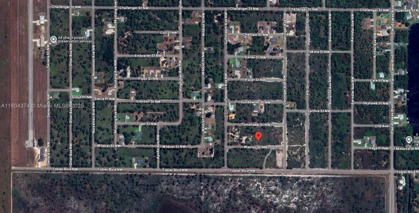 217 Warrior St, Lake Placid, 佛羅里達州 33852, 美國