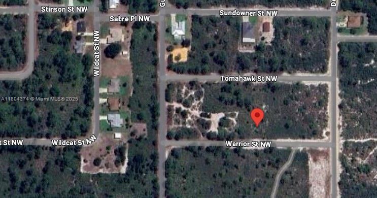 217 Warrior St, Lake Placid, 佛羅里達州 33852, 美國