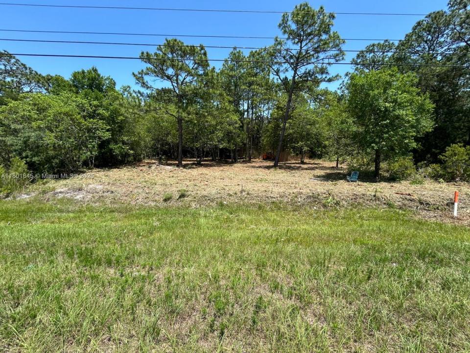 11287 S Suncoast BLVD, Florida 34446, USA