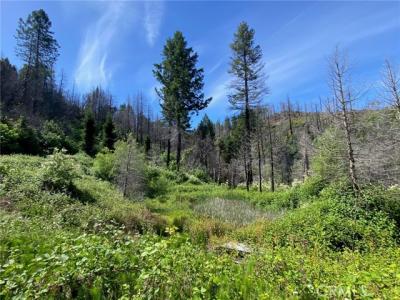 Eden Canyon Road, Berry Creek, 加州 95916, 美國