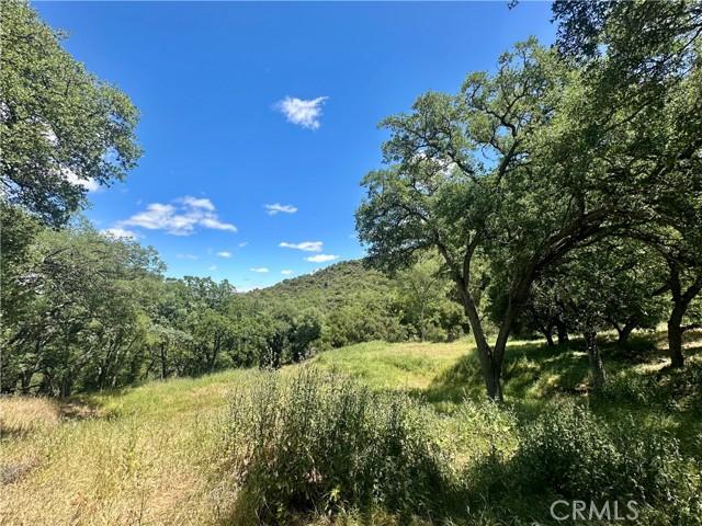 Tepusquet Road, Santa Maria, Калифорния 93454, Соединенные Штаты