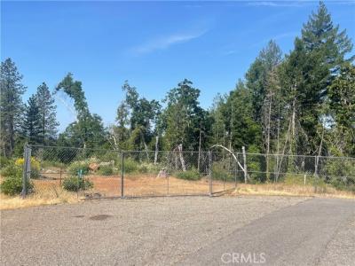 Ishi Drive, Magalia, Kaliforniya 95954, Amerika Birleşik Devletleri