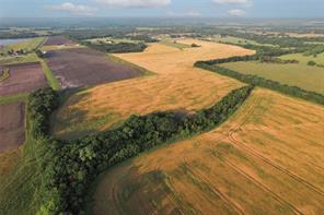 TDB Fm-137, Roxton, テキサス 75477, アメリカ合衆国