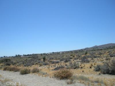 Beekley and Nielson, Phelan, California 92371, Estados Unidos