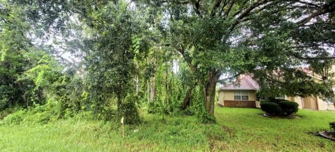 112 Ryberry Drive, Palm Coast, 佛羅里達州 32164, 美國