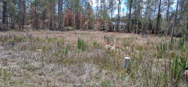 630 Ladd St, Lehigh Acres, Florida 33974, USA