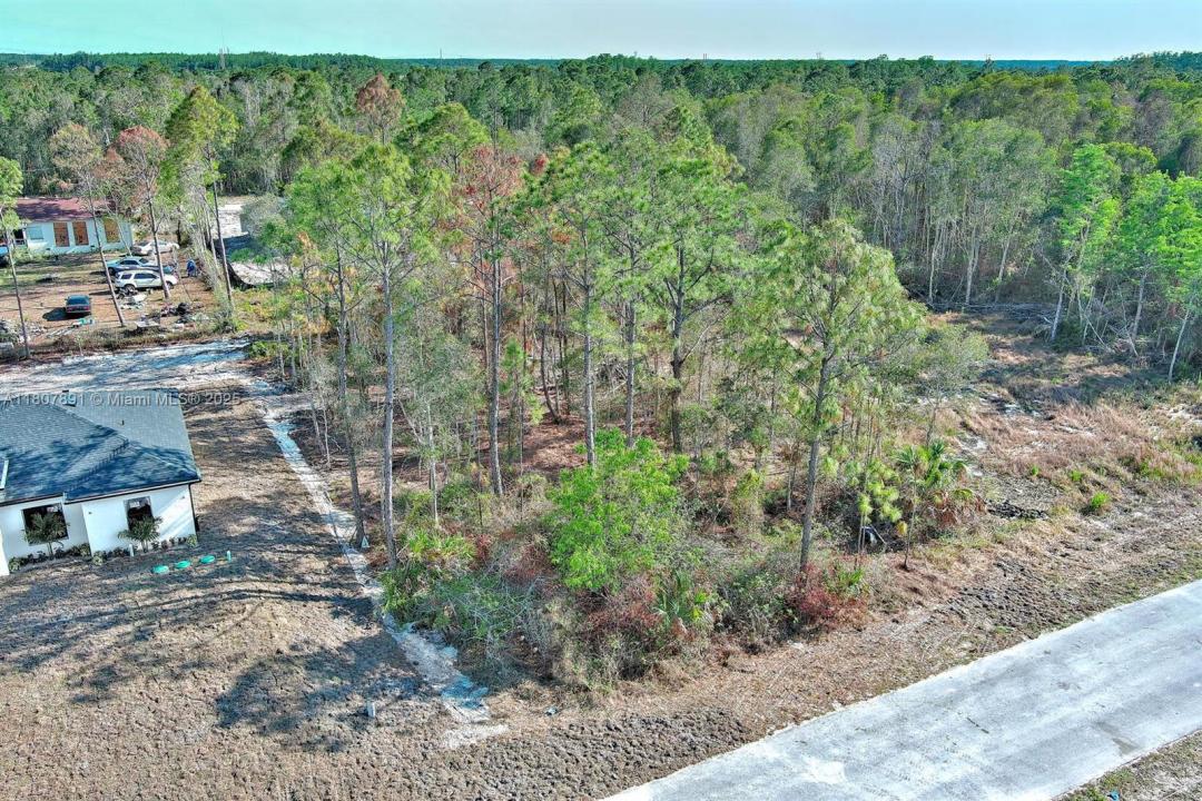 634 LADD ST, Lehigh Acres, Florida 33974, Stati Uniti