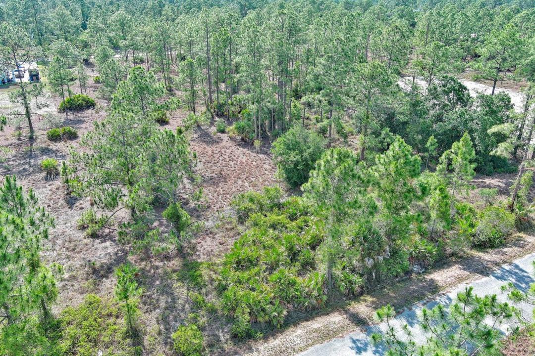 317 Fitch Ave, Lehigh Acres, Floride 33936, États-Unis
