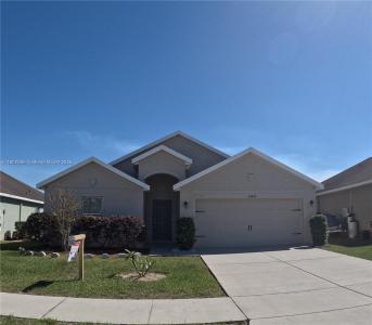 30894 water lily 1, Other City - In The State Of Florida, Florida 34602, USA