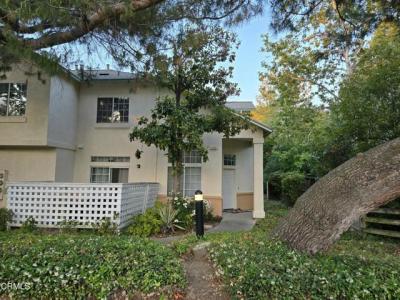 Greene Terrace, Davis, Kalifornien 95618, USA