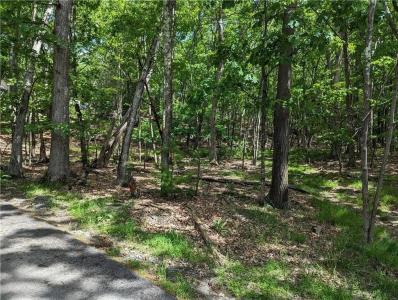 Canal Road, Mamakating, Nueva York 12790, Estados Unidos