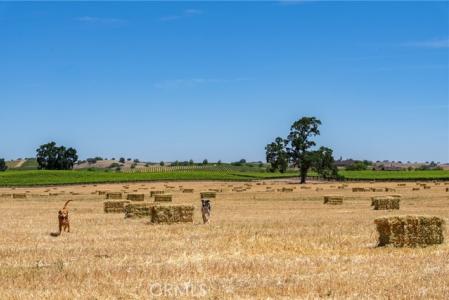 Camp 8 Road, Paso Robles, Калифорния 93446, Соединенные Штаты