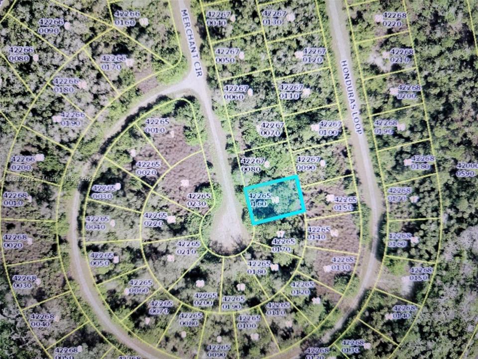 1828 Merchant Cir, Lehigh Acres, Florida 33972, Stati Uniti