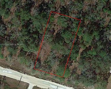 5746 W OVERLOOK DR, Other City - In The State Of Florida, Florida 32656, USA