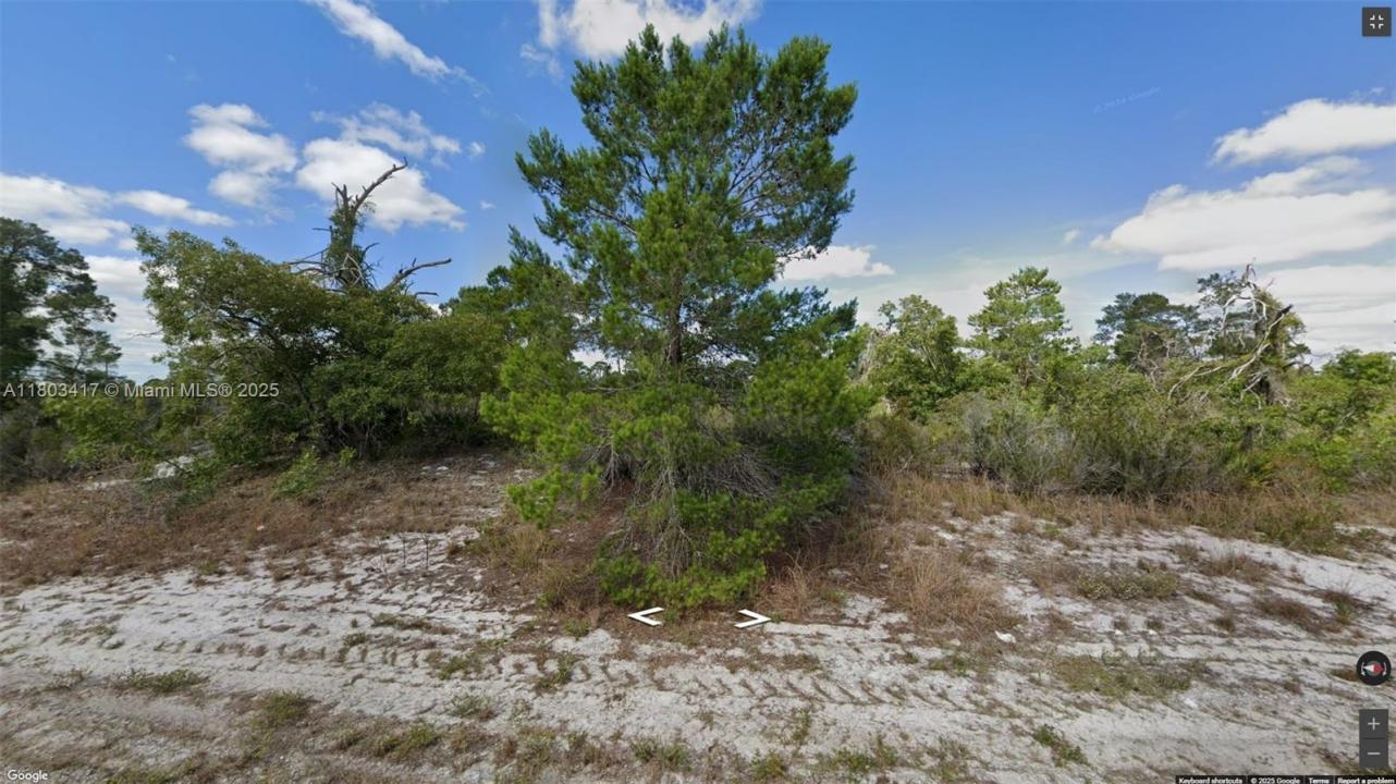 341 NE Galapagos Ave, Lake Placid, Floride 33852, États-Unis
