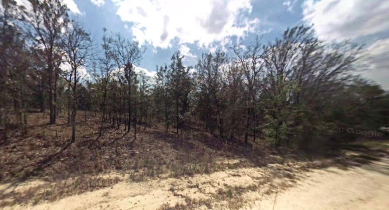 16863 SW 57th Place, Ocala, Flórida 34481, Estados Unidos