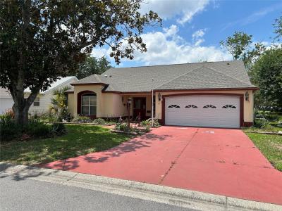 867 Cortez Avenue, The Villages, Florida 32159, Stati Uniti