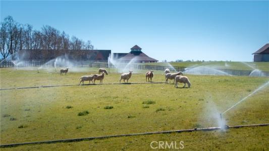 Gate 4 Rd., Paso Robles, Калифорния 93446, Соединенные Штаты