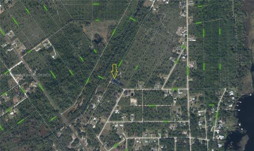 1401 RUTLEDGE AVE, Lake Placid, Florida 33852, USA