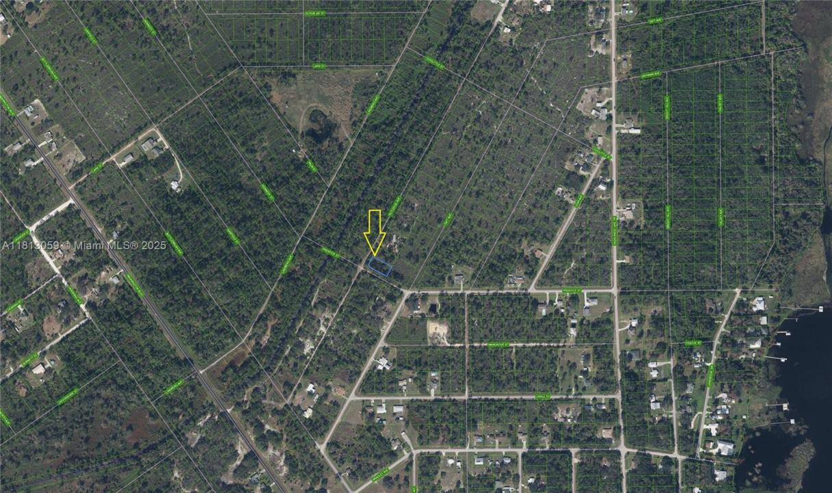 1401 RUTLEDGE AVE, Lake Placid, Floride 33852, États-Unis