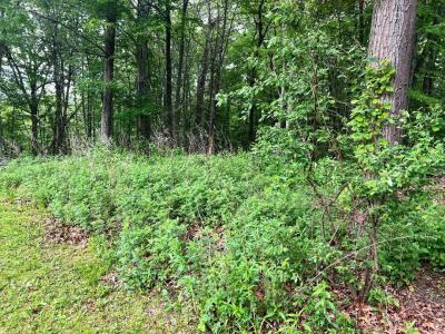 36 Sylvia Barlow Way, Patterson, ניו יורק 10509, ארצות הברית של אמריקה 