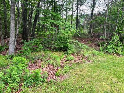 36 Sylvia Barlow Way, Patterson, ניו יורק 10509, ארצות הברית של אמריקה 