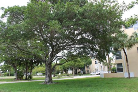 922 NE 199th St 3D Apt 304, Miami, Florida 33179, USA
