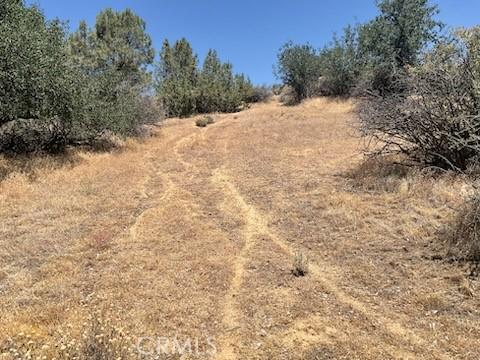 Rancheria Creek Road, Caliente, Kalifornien 93518, USA