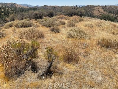 Rancheria Creek Road, Caliente, Kalifornien 93518, USA