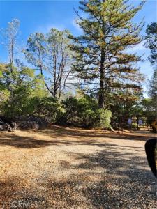 Marie Lane, Rackerby, California 95972