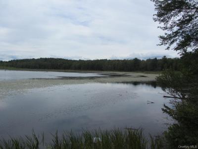 T/B/D Fraser Road, Thompson, New York 12701, USA