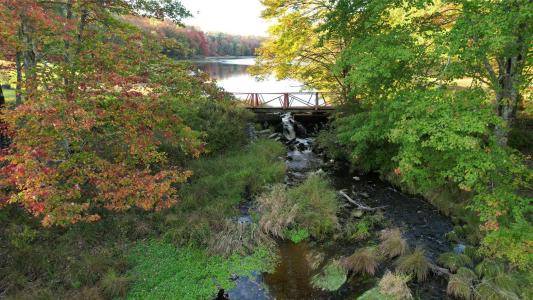 37 John Bishop Road, Bethel, New York 12783, États-Unis