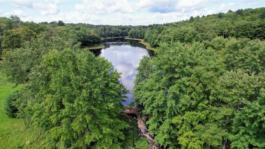 37 John Bishop Road, Bethel, New York 12783, États-Unis