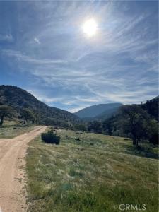 Back Canyon Road, Caliente, Kalifornien 93518, USA