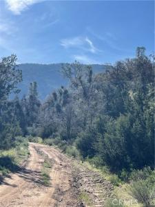 Back Canyon Road, Caliente, Kalifornien 93518, USA