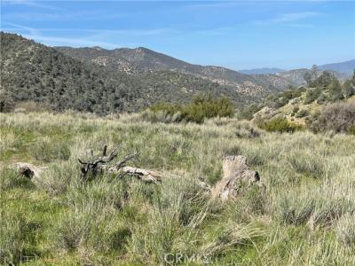 Back Canyon Road, Caliente, Kalifornien 93518, USA